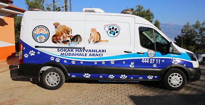 Kaş Belediyesi Sokak Hayvanları Müdahale aracı hizmette 