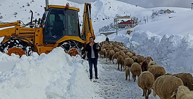 Koyunlarıyla birlikte 3 gün mahsur kalan çobanı belediye ekipleri kurtardı 