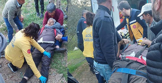 Antalya'da badem ağacından düşen Rahmi Özdemir ağır yaralandı 