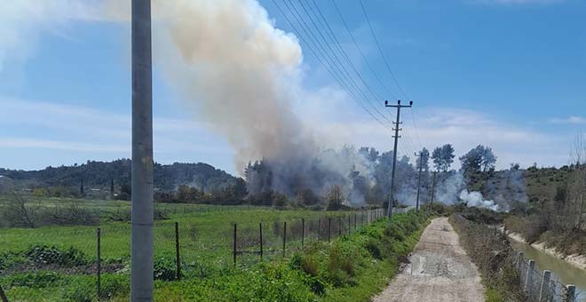Antalya'da orman yangını çıktı! Ekipler alarma geçti 