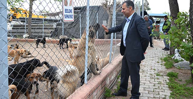 Mustafa Bilici ile Emin Gül hayvan barınağı incelendi
