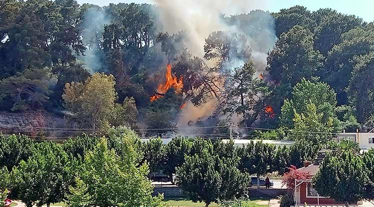 Antalya'daki yangın ormana sıçradı 