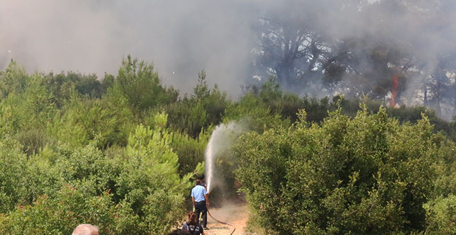 Aksu’daki orman yangınında 1,8 hektar alan zarar gördü