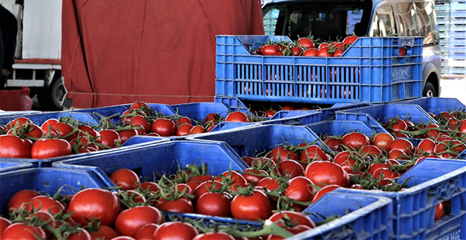 Antalya’da domates miktarı azaldı, fiyat endeksi arttı 