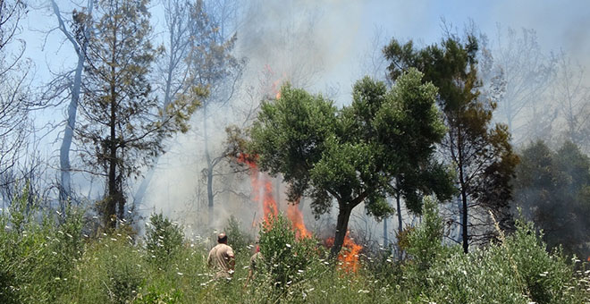 Orman çevresinde ve içinde ateş yakmak yasaklandı 
