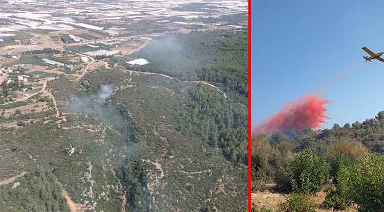 Antalya’daki orman yangını 2 saatte kontrol altına alındı
