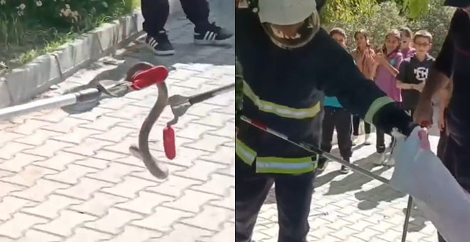 Okul bahçesindeki yılanı itfaiye ekipleri yakaladı 